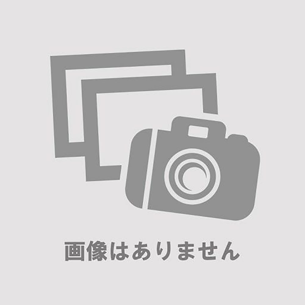 NNV025-MST バイクナビゲーションシステム補修用 取ﾘ付けステー ミラー専用